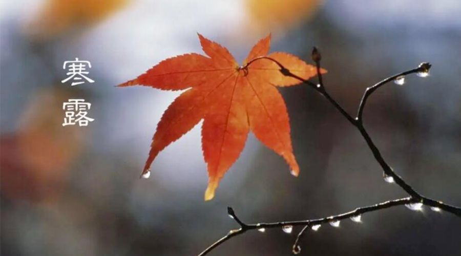 寒露時節(jié)！金環(huán)電器提醒大家要注意的事項